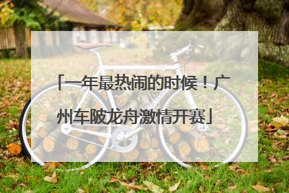 一年最热闹的时候！广州车陂龙舟激情开赛