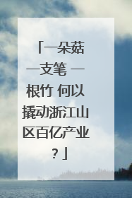 一朵菇 一支笔 一根竹 何以撬动浙江山区百亿产业？