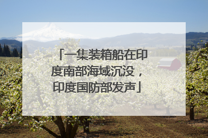 一集装箱船在印度南部海域沉没，印度国防部发声