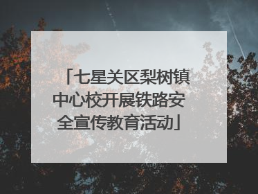 七星关区梨树镇中心校开展铁路安全宣传教育活动