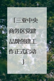 三亚中央商务区党建品牌创建工作正式启动