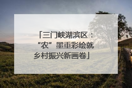 三门峡湖滨区：“农”墨重彩绘就乡村振兴新画卷