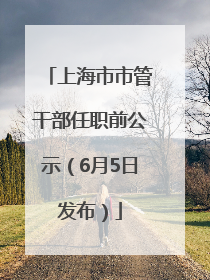 上海市市管干部任职前公示（6月5日发布）