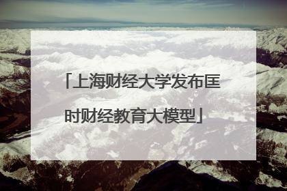 上海财经大学发布匡时财经教育大模型