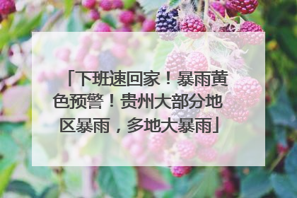 下班速回家！暴雨黄色预警！贵州大部分地区暴雨，多地大暴雨