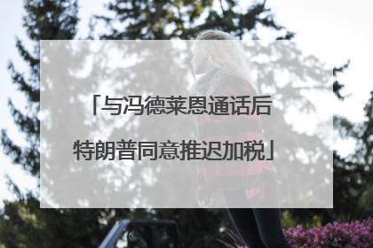 与冯德莱恩通话后 特朗普同意推迟加税