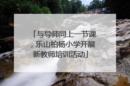 与导师同上一节课，乐山柏杨小学开展新教师培训活动