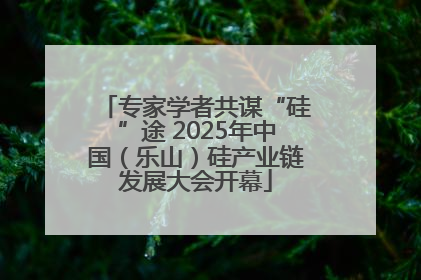 专家学者共谋“硅”途 2025年中国（乐山）硅产业链发展大会开幕