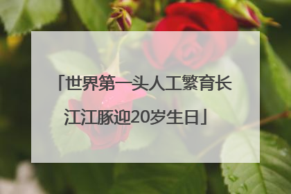 世界第一头人工繁育长江江豚迎20岁生日