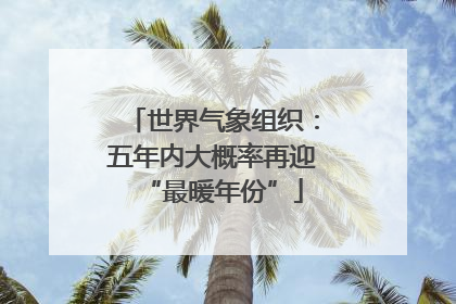 世界气象组织：五年内大概率再迎“最暖年份”