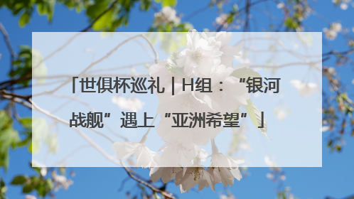 世俱杯巡礼｜H组：“银河战舰”遇上“亚洲希望”