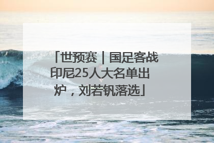 世预赛｜国足客战印尼25人大名单出炉，刘若钒落选