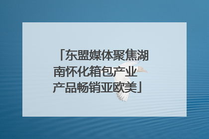 东盟媒体聚焦湖南怀化箱包产业 产品畅销亚欧美