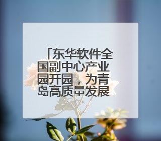 东华软件全国副中心产业园开园，为青岛高质量发展注入新动能