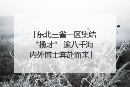 东北三省一区集结“揽才” 逾八千海内外博士奔赴而来