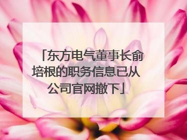 东方电气董事长俞培根的职务信息已从公司官网撤下