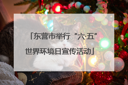 东营市举行“六·五”世界环境日宣传活动