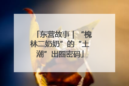 东营故事｜“槐林二奶奶”的“土潮”出圈密码