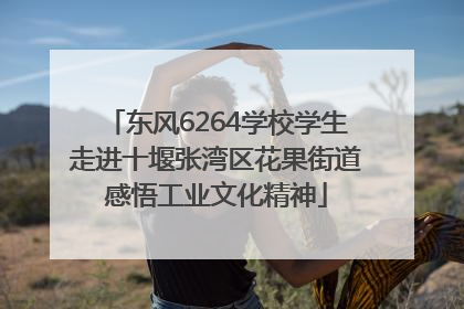 东风6264学校学生走进十堰张湾区花果街道感悟工业文化精神