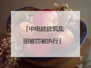 中电建建筑集团被罚被执行
