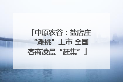 中原农谷：盐店庄“滩桃”上市 全国客商凌晨“赶集”