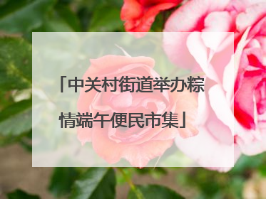 中关村街道举办粽情端午便民市集