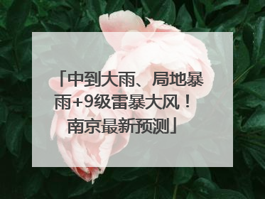 中到大雨、局地暴雨+9级雷暴大风！南京最新预测