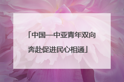 中国—中亚青年双向奔赴促进民心相通
