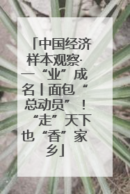 中国经济样本观察·一“业”成名丨面包“总动员”！“走”天下也“香”家乡