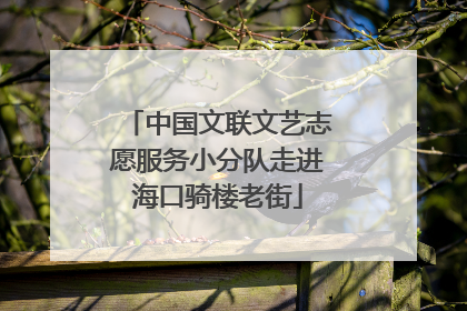 中国文联文艺志愿服务小分队走进海口骑楼老街