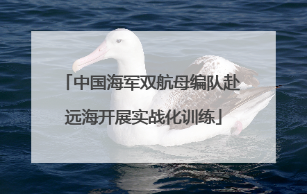中国海军双航母编队赴远海开展实战化训练
