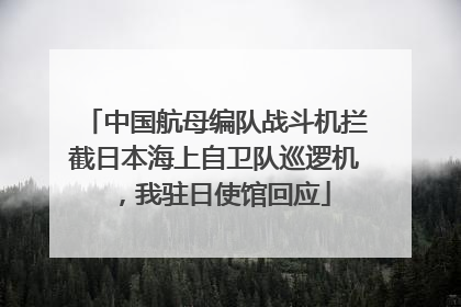 中国航母编队战斗机拦截日本海上自卫队巡逻机，我驻日使馆回应