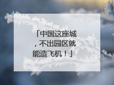 中国这座城，不出园区就能造飞机！