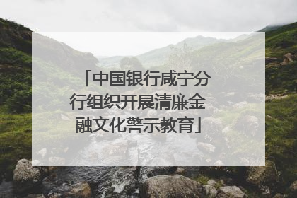 中国银行咸宁分行组织开展清廉金融文化警示教育