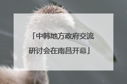 中韩地方政府交流研讨会在南昌开幕