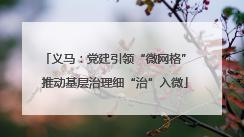义马：党建引领“微网格” 推动基层治理细“治”入微