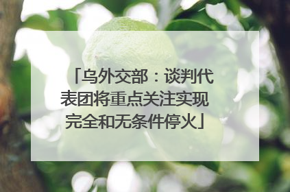 乌外交部：谈判代表团将重点关注实现完全和无条件停火