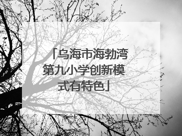 乌海市海勃湾第九小学创新模式有特色