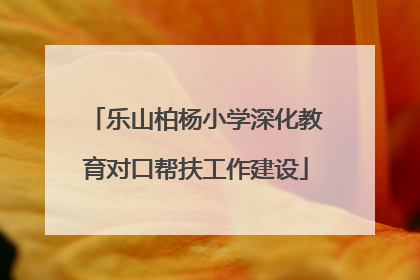 乐山柏杨小学深化教育对口帮扶工作建设