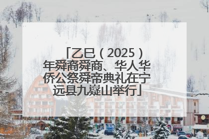 乙巳（2025）年舜裔舜商、华人华侨公祭舜帝典礼在宁远县九嶷山举行