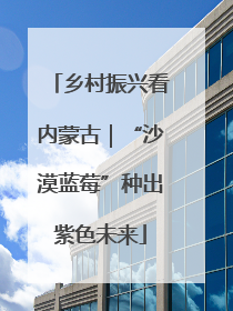 乡村振兴看内蒙古｜“沙漠蓝莓”种出紫色未来