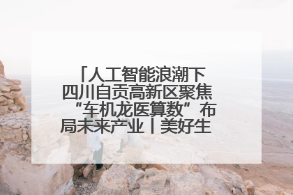 人工智能浪潮下 四川自贡高新区聚焦“车机龙医算数”布局未来产业丨美好生活有“盐”味