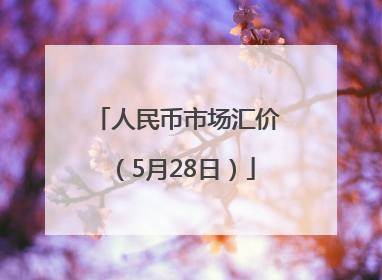 人民币市场汇价（5月28日）