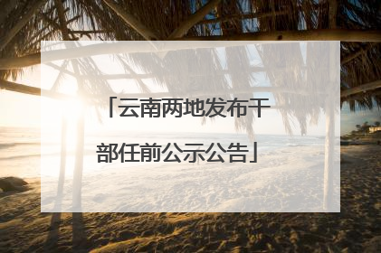 云南两地发布干部任前公示公告