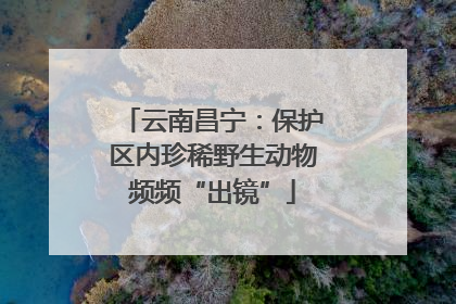 云南昌宁：保护区内珍稀野生动物频频“出镜”