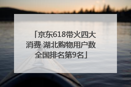 京东618带火四大消费 湖北购物用户数全国排名第9名