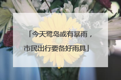 今天鹭岛或有暴雨，市民出行要备好雨具