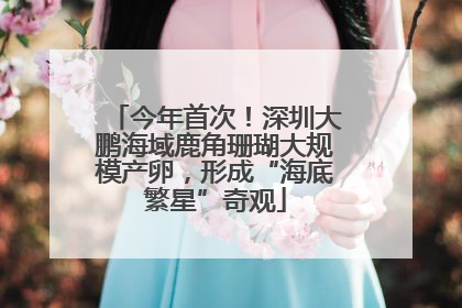 今年首次！深圳大鹏海域鹿角珊瑚大规模产卵，形成“海底繁星”奇观