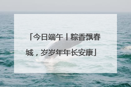 今日端午丨粽香飘春城，岁岁年年长安康