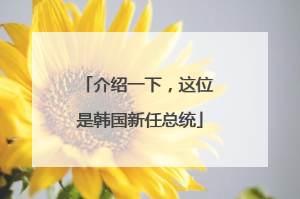 介绍一下，这位是韩国新任总统